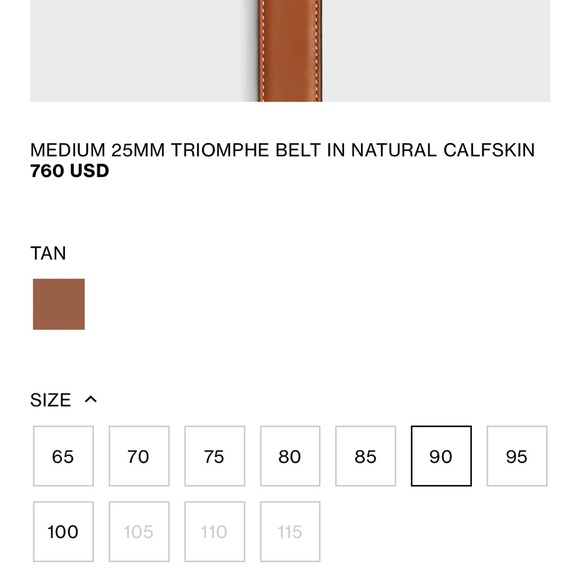 Celine Belt - Picture 6 of 7